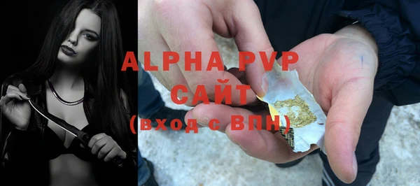 ешки Алексин